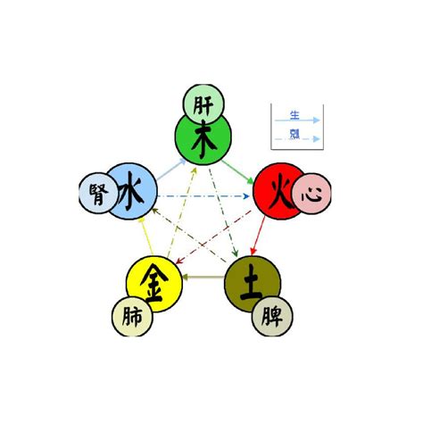 土 火|五行（对万事万物的取象比类）